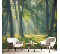 Carta Da Parati Foresta Nebbiosa 150X105Cm Tessuto Di Seta Sfondo Murale La Luce Del Sole Filtra Attraverso Le Foglie Decorazione Soggiorno Camera De Letto Sala Ufficio Verde