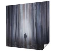 Carta da Parati Fotografica Adesiva 250x250 cm per Soggiorno e Camera da letto Autoadesiva Antimacchia Decorazione della Parete Montaggio Murale Stampa di Alta Qualità - Silenzio nella foresta