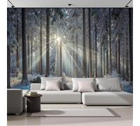 Carta da parati fotografica con foresta invernale azzurra e luce del sole che splende attraverso gli alberi, decorazione murale per camera da letto e soggiorno, 430 cm x 300 cm