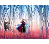 Carta da Parati Fotografica Elsa Frozen Disney Bambina Camera Arte Princess Blu