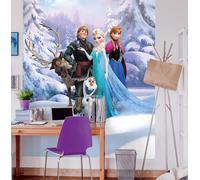 Carta da Parati Fotografica Elsa Frozen Disney Bambina Camera Arte Princess Blu