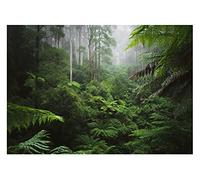Carta Da Parati Fotografica Foresta Tropicale Giungla Bosco Nebbia - Include Colla - Moderna Design Carta per Pareti Soggiorno Camera Da Letto Sala Fotomurali In Tessuto Non Tessuto TNT (368x254 cm)