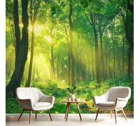 Carta Da Parati Fotografica Foresta Verde E Soleggiata, Natura Meravigliosa Design Carta per Pareti Soggiorno Camera Da Letto Sala Fotomurali, Verde lime Tessuto di Seta Murale, 450Lx315A cm