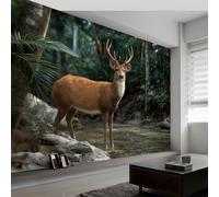 Carta da Parati Fotografica in Tessuto Non Tessuto Fotografia Naturalistica Design 3D per Soggiorno Camera da Letto Foresta Tropicale Cervo Decorazione Murale Facile da Applicare, 450 x 280 cm