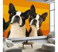 Carta da parati fotografica in tessuto non tessuto, motivo animali dei Boston Terrier, per camera da letto, soggiorno, 200 x 140 cm, sfondo decorativo per camera da letto (non autoadesiva)