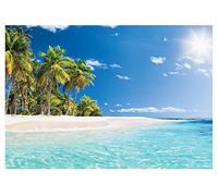 Carta Da Parati Fotografica Spiaggia Paesaggio Palme Mare - Include Colla - Moderna Design Carta per Pareti Soggiorno Camera Da Letto Sala Fotomurali In Tessuto Non Tessuto TNT (312x219 cm)