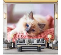 Carta da parati Gatto dagli occhi azzurri Animali Fotomurali in TNT Murale alla Moda Decorazione da Muro Panoramico Poster Design Carta per pareti 400 x 280 cm Fotomurale Ornamento