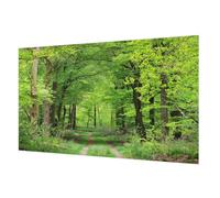 Carta da Parati in Fliselina 416x254cm Facile da Pulire Colla Inclusa Stampa di Alta Qualità per Soggiorno e Camera da letto Decorazione da Muro Montaggio Murale - Sentiero nel bosco