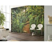 Carta Da Parati Jungle 368x254cm Arte Murale Per Bagno Verde Botanico