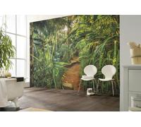 Carta Da Parati Jungle 368X254Cm Arte Murale Verde Botanico Per Il Bagno