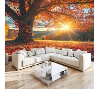 Carta da Parati Moderna Paesaggio autunnale del tramonto dell'acero 3D Murale, Decorazioni, 350x256 cm, Tessuto Non Tessuto
