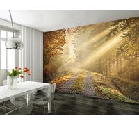 Carta Da Parati Murale 315X232Cm Strada Nel Bosco D'Autunno | Colla Non Inclusa