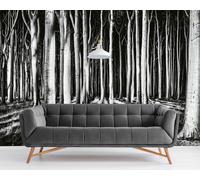 Carta da Parati Murale Bianco & Nero Foresta Scenario Albero Colla Non Incluso