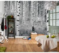 Carta Da Parati Murale Botanica Verde Giungla Foresta Foto Poster Per Bambini