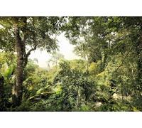 Komar Carta da parati Botanico Grande Tropicale Verde Giungla Bosco Colori Brillanti