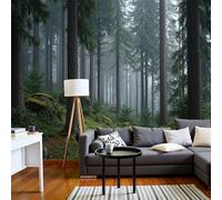 Carta Da Parati Murale Con Foresta Di Pini Avvolta Nella Nebbia Carta Da Parati Realismo Naturalistico Soggiorno Camera Da Letto Sfondo Muro Decorazioni Per La Casa Sfondi 3D, 400 X 280 Cm
