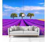 Carta Da Parati Murals Fotografia Campi Di Lavanda Alberi 300 x 210 cm Tessuto Non Tessuto Carta da Parati, Viola Moderno Murale Fotomurali, per Camere da Letto Soggiorno Sfondo Televisivo