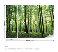 Carta Da Parati Muro Per Ufficio Casa Asilo Verde Foresta Albero Natura