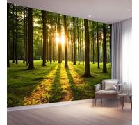Carta da parati non tessuta 350 x 256 cm Foresta Dell'Alba Poster gigante da parete, Stile Naturale per la decorazione della parete della camera da letto del soggiorno, Verde