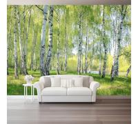 Carta da parati non tessuto Natura Prato Bosco di betulle Decorazione murale stampata 200 x 140 cm Immagini murali per poster Foto arazzo decorativo Soggiorno Bagno Camera da letto Colorato
