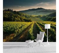 Carta da Parati Panoramica Campi Italiani 250x175cm Fotomurali in Seta Vigneto XXL Poster Gigante Design Decorazione da Parete per Soggiorno Camera Ristorante Camera dei Bambini, Verde