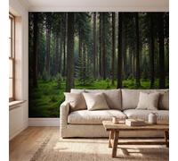 Carta Da Parati Panoramica Tranquillo Paesaggio Naturale 200x140cm
