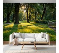 Carta Da Parati Panoramica Vista Sul Parco 200L×140Acm Carta Da Parati Fotografica In Seta 3D Luce Sole Filtra Attraverso Gli Alberi Cade Sull'Erba Poster Gigante Murale