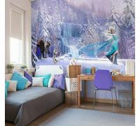 Ragazze Camera Disney Personaggi Carta da Parati Fotografica Rosa Decor Princess