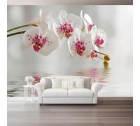 Carta Da Parati Pianta Rosa Orchidee Increspature Dell'Acqua 300 X 210 Cm Vello Sfondo Murale Xxl Moderne Decorazione Grande Sfondo Per Tv Soggiorno Camera De Letto Sala Ufficio
