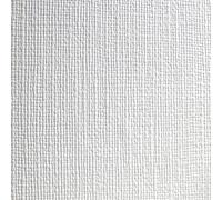 Carta da Parati Pitturabile Anaglypta Muri Soffitti - Vintage Goffrato Pannelli