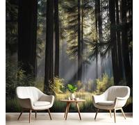 Carta Da Parati Scenario Misterioso Della Foresta,350L × 256A cm Fotomurali In Seta Luce Solare Ombre Dalla Chioma Degli Alberi 3D Decorazione Da Muro Poster Gigante Design Per Tv Sfondo - Verde Scuro