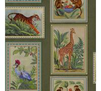 Carta Da Parati Tropicale Holden 14271 Illustrazioni Di Animali In Cornice Verde