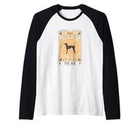 Carta dei Tarocchi Il Cane Segugio di Ibiza Spazio Celeste Maglia con Maniche Raglan