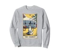 Carta dei Tarocchi Il Carro Gatto Robot Aspirapolvere Divertente Gatto Felpa