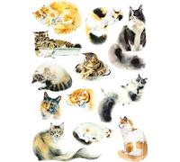 Carta di riso con gatti ad acquerello, 29,21 x 40,64 cm, 12 immagini uniche di gatti stampate su carta di gelso da 36 g/m², fibre visibili per decoupage e lavori di ristrutturazione di mobili.