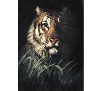 carta di riso della tigre, 29,21 x 40,64 cm - for Decoupage Furniture Crafts