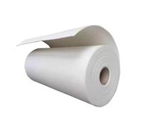 Carta Isolante Ignifuga In Fibra Ceramica, Resistente Alle Alte Temperature, Isolamento Termico Per Stufe, Caminetti, Forni Per Pizza, Forni Industriali(5MM)