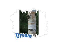 Carta Marrone. Adesivi Citazione Sogno Decalcomanie in Vinile