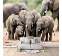 Carta Parati Tessuto Non Tessuto Elefante, Quadri Carta Da Parati Fiori Caccia al safari 300x210cm Decorazione da parete moderna poster murale gigante Arte murales salotto camera da letto facile da