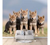 Carta Parati Tessuto Non Tessuto Lupo carino, Quadri Carta Da Parati Fiori Caccia alla fauna selvatica 300x210cm Decorazione da parete moderna poster murale gigante Arte murales salotto camera da