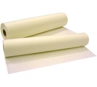 Carta Per Schizzi Trasparente 24/25 G/m2 Rotolo 0,33 X 100 Mt