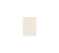 Carta pergamenata Decadry Linea Corporate A4 avorio 95 g/m² Conf. 100 fogli - T1