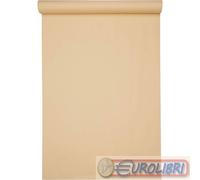 CARTA SPOLVERO 70X100 20FG A BLOCCO 90GR