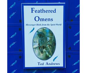 Carte Deck Di Uccelli MESSENGER Piumati Dal Mondo SPIRIT Dragonhawk Nuovo