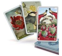 Carte Kipper Christephania 36 carte mini 10,4x7,3 cm Modernizzate Simboli