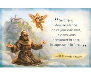 Carte prière Saint François d'Assise 02P (par 20)