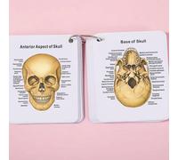 Carte scheletro umano, Anatomia del corpo umano, Sistema scheletrico, Diagramma dello scheletro umano, Flashcard ossa del corpo, Carte delle mie ossa Tagli UnicaCarta tessile