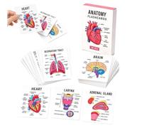 Carte Studio Di Anatomia 30 Pezzi Formato Tascabile Supporto Visivo | Carte Visive Di Anatomia E Fisiologia Per Studio Per Ripasso Pre-Esame Università Routine Quotidiana In Aula