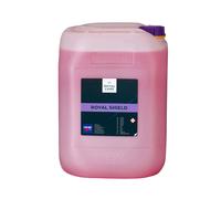 CARTEC ROYAL SHIELD Polish Protettivo Nanotecnologico Effetto Seta 10lt