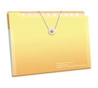 Cartella A 12 Scomparti Espansione Dei Documenti Ordinamento In Formato Lettera Organizzatore File Per La Gestione Dei Documenti Professionale A Casa Scuola Ufficio